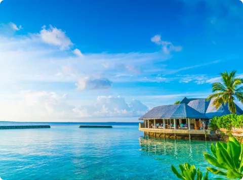 Beachside resort view in Lakshadweep with palm trees and ocean