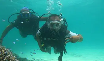 Scuba Diving​