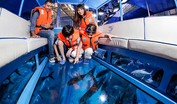Glass Bottom Boat Ride